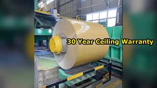 Le plafond en aluminium durable couvre la garantie de 30 ans