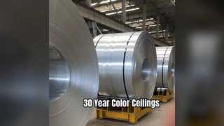 Le plafond en aluminium durable couvre la couleur de 30 ans