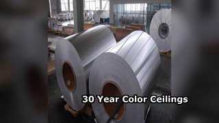 Le plafond en aluminium durable couvre la couleur de 30 ans