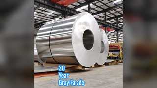 Panneaux de mur rideau en aluminium gris de 30 ans